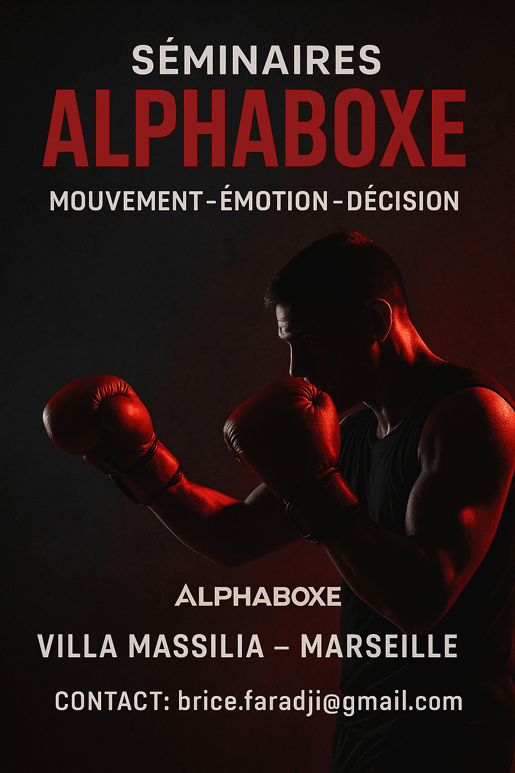 Séminaires Alphaboxe — Mouvement, émotion, décision